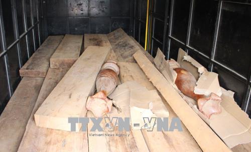 Quảng Bình phát hiện xe chở gỗ không có giấy tờ hợp pháp 